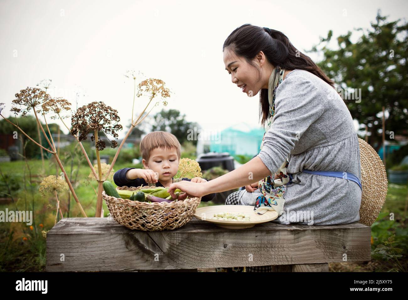 Mother and toddler son with harvested vegetables in garden Stock Photo ...
