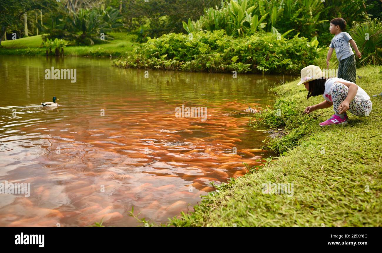 Man made lake us fish hires stock photography and images Alamy