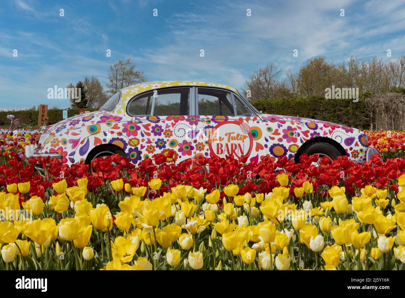 The Tulip Barn, located in Hillegom, Netherlands. © Curtis Hilbun / AFF