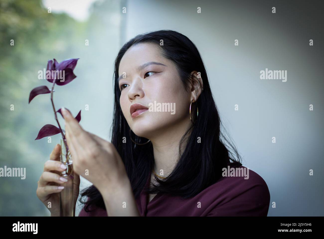 Curious young woman holding plant with burgundy leaves Stock Photo