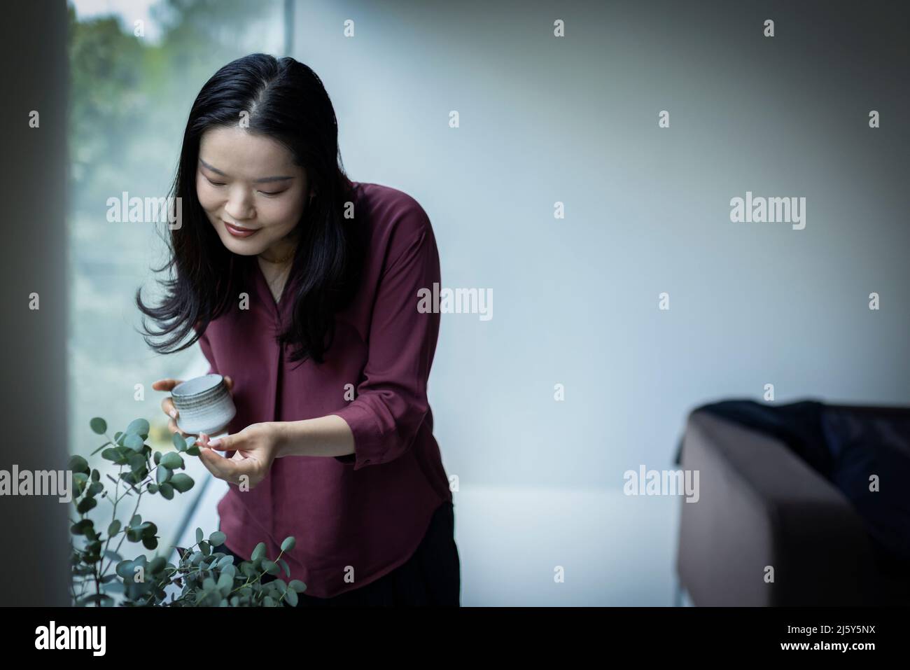 Young woman inspecting leaves on green houseplant at home Stock Photo
