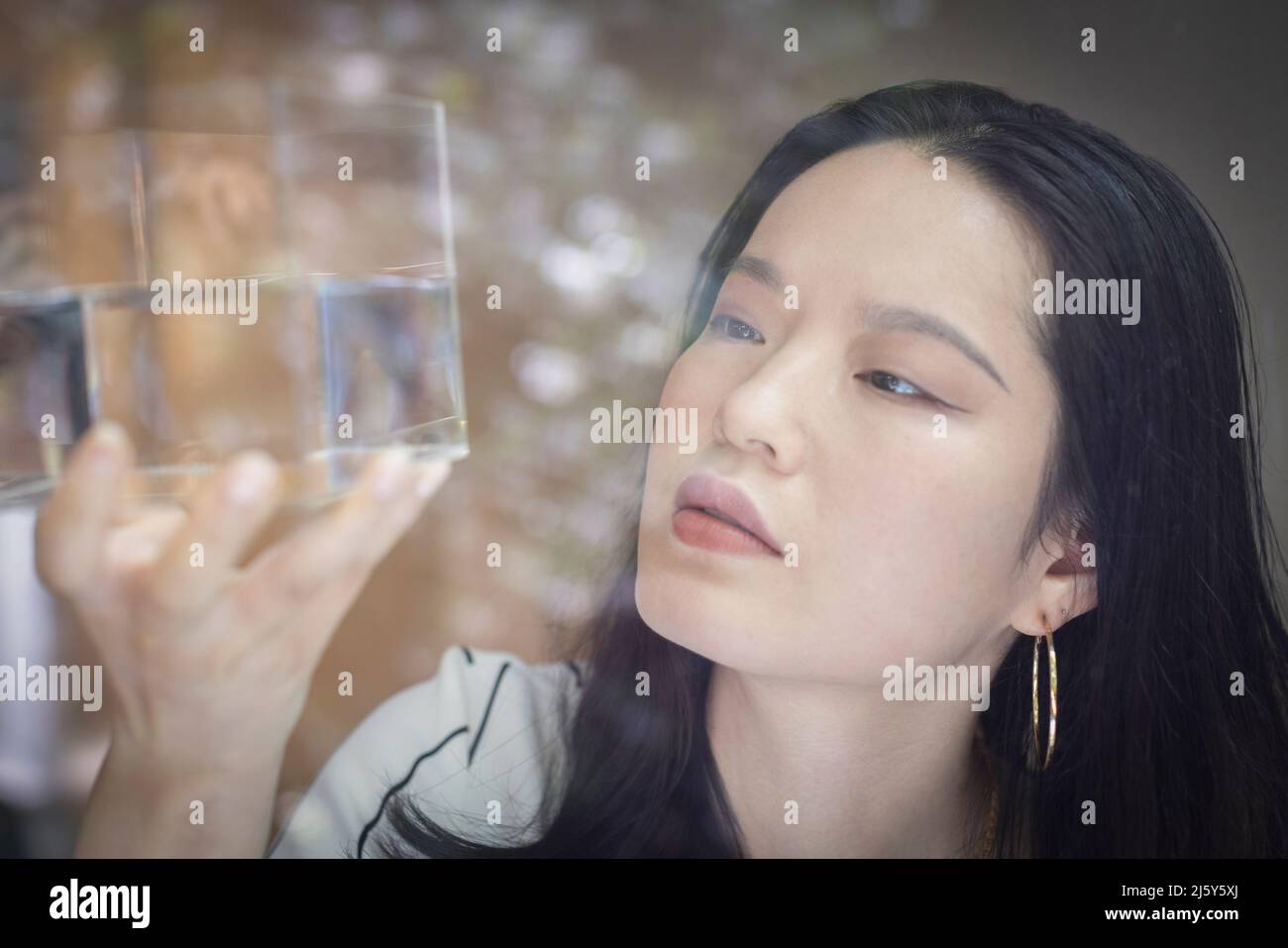 Close up female designer inspecting cube with water Stock Photo
