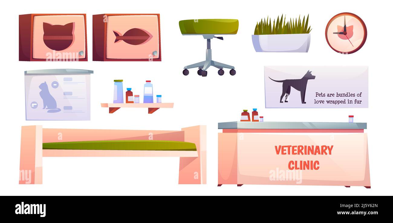 Veterinary vet clinic furniture and stuff set isolated on white