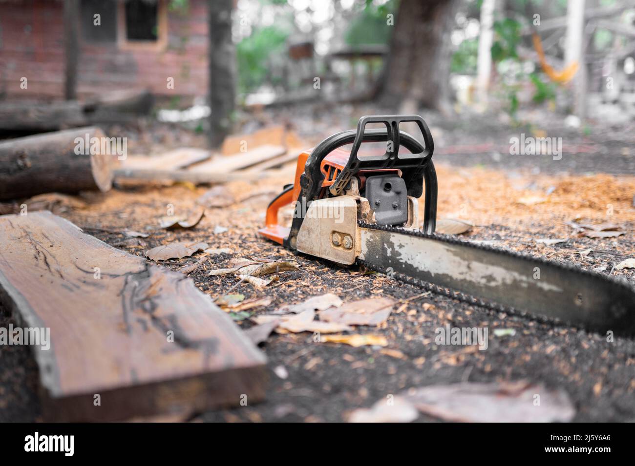 Chainsaw on the ground hi-res stock photography and images - Alamy