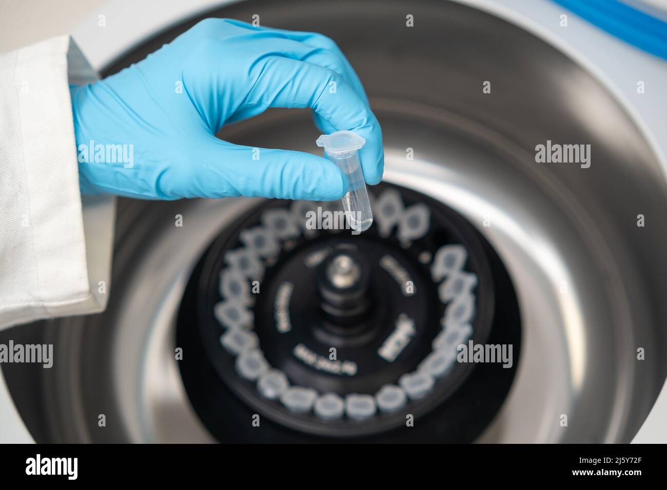 Scientist puts microcentrifuge tubes into centrifuge for phase ...