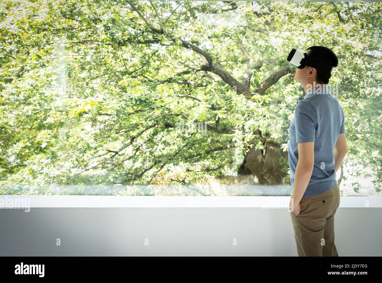 Man using VR headset at window with view of green tree Stock Photo