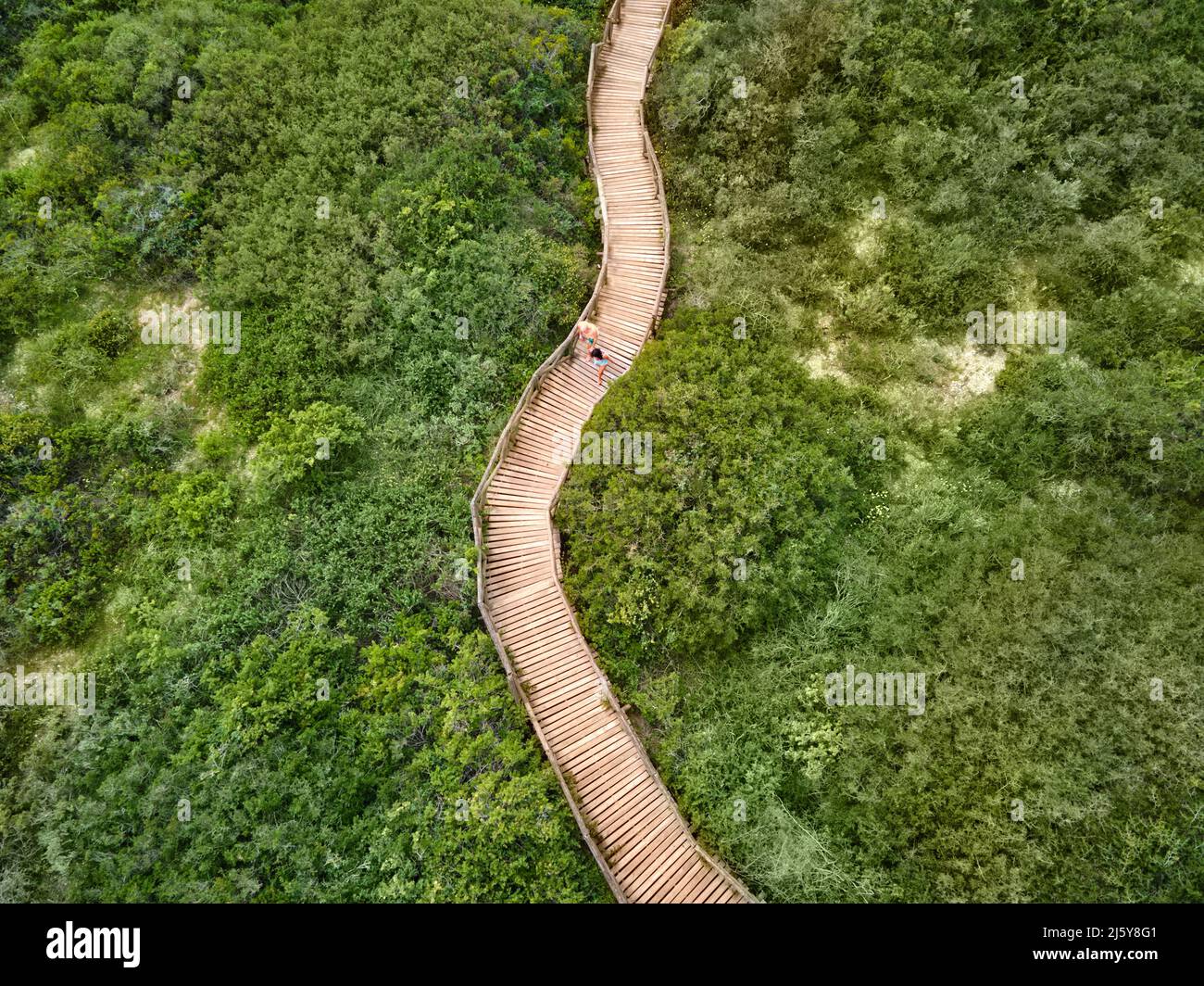 Aerial view couple walking on wooden boardwalk among green trees Stock Photo