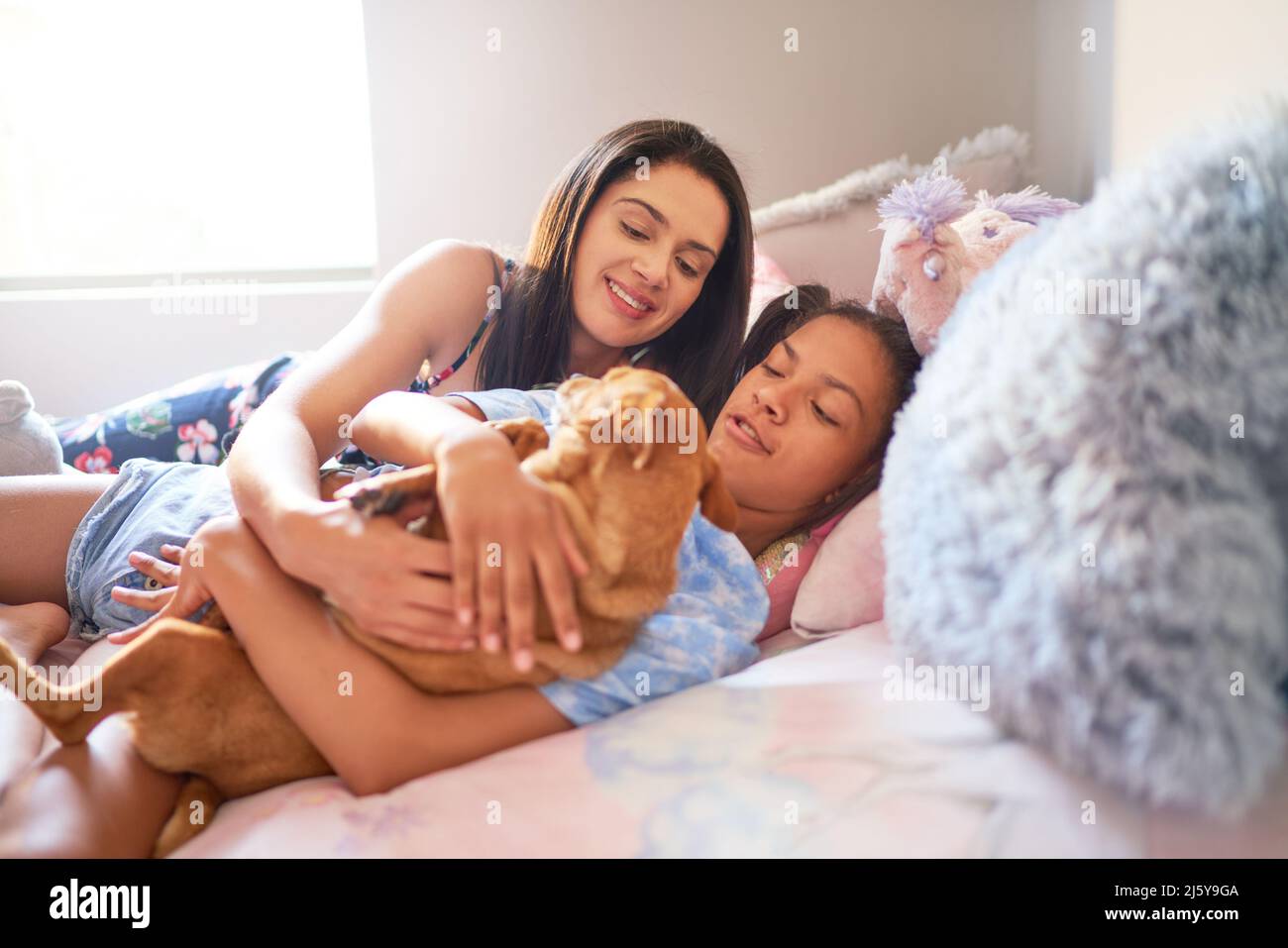 Mother and daughter laying in bed with dog at home Stock Photo