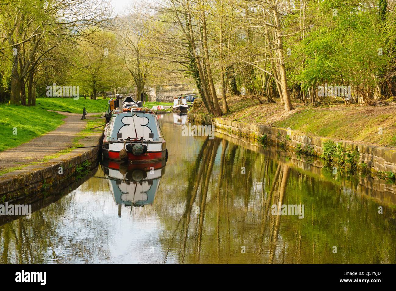 Narrowboats moored up on a tranquil leafy part of the Llangollen canal in the Trevor Basin at the Froncysyllte aqueduct on the inland waterway network Stock Photo