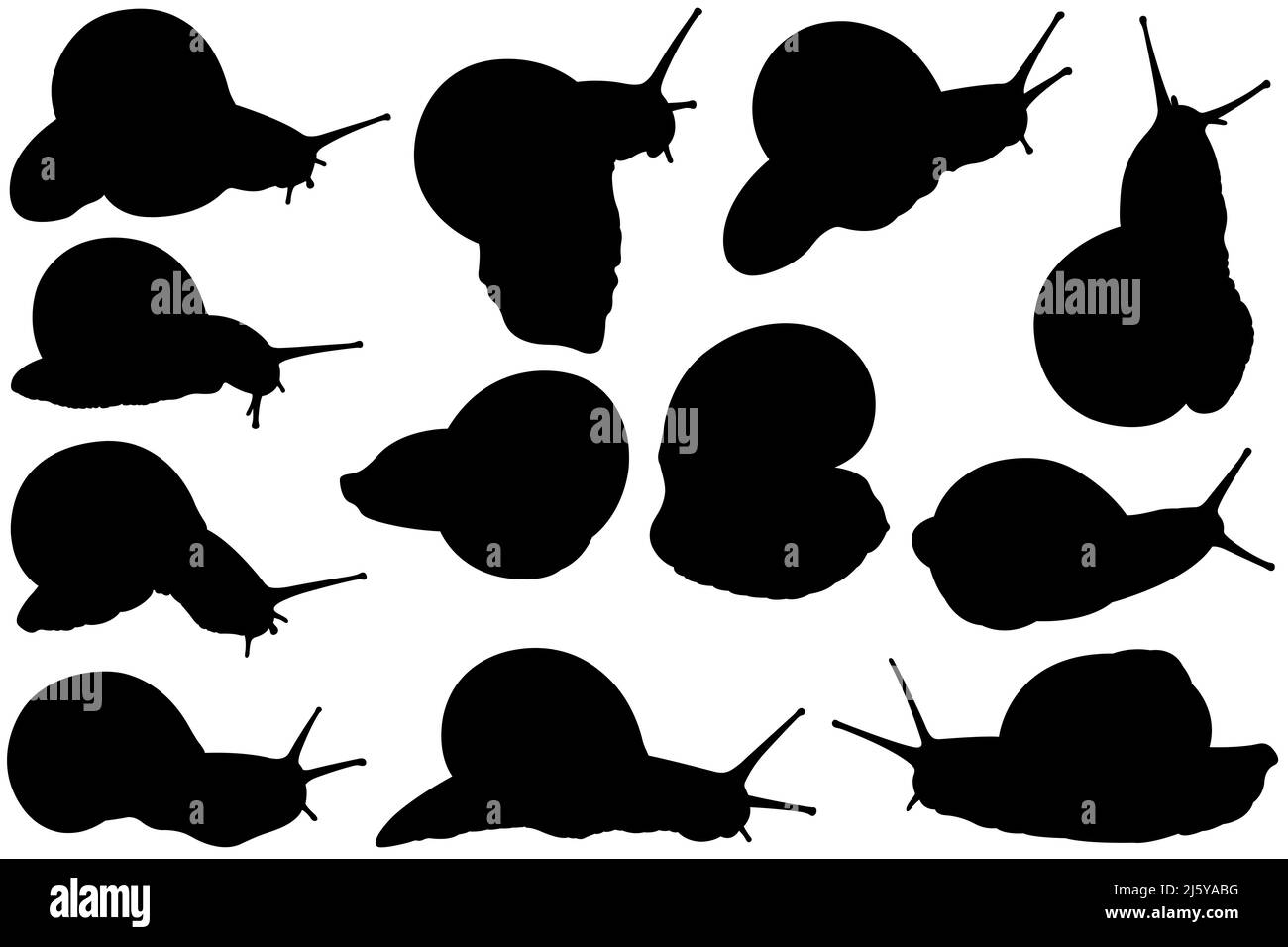 Collection of different snail silhouettes isolated on white Stock Photo