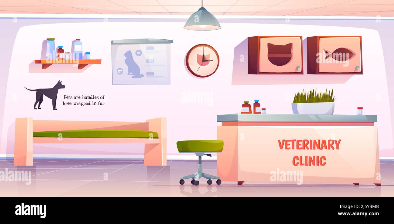 Vet clinic reception. Veterinary hall interior with administrator desk