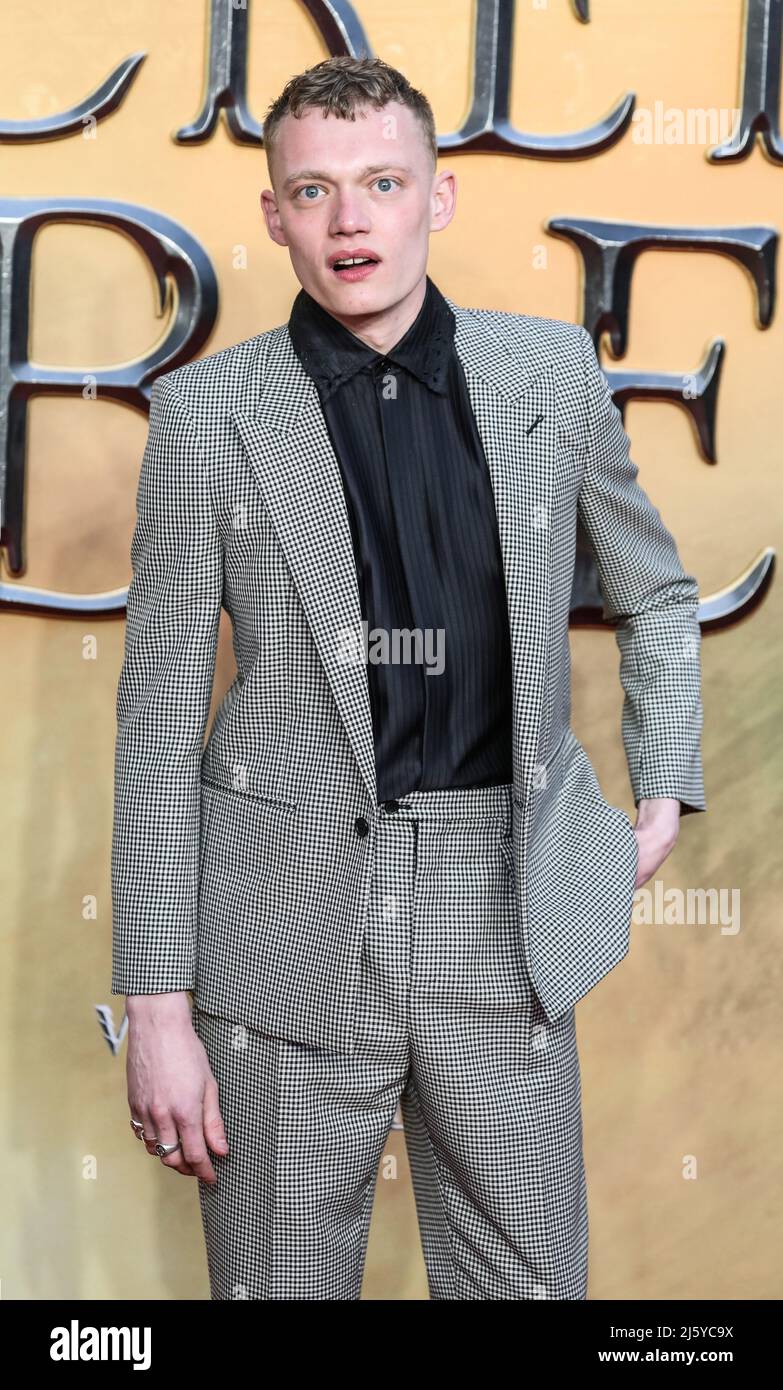 Jojo macari hi-res stock photography and images - Alamy