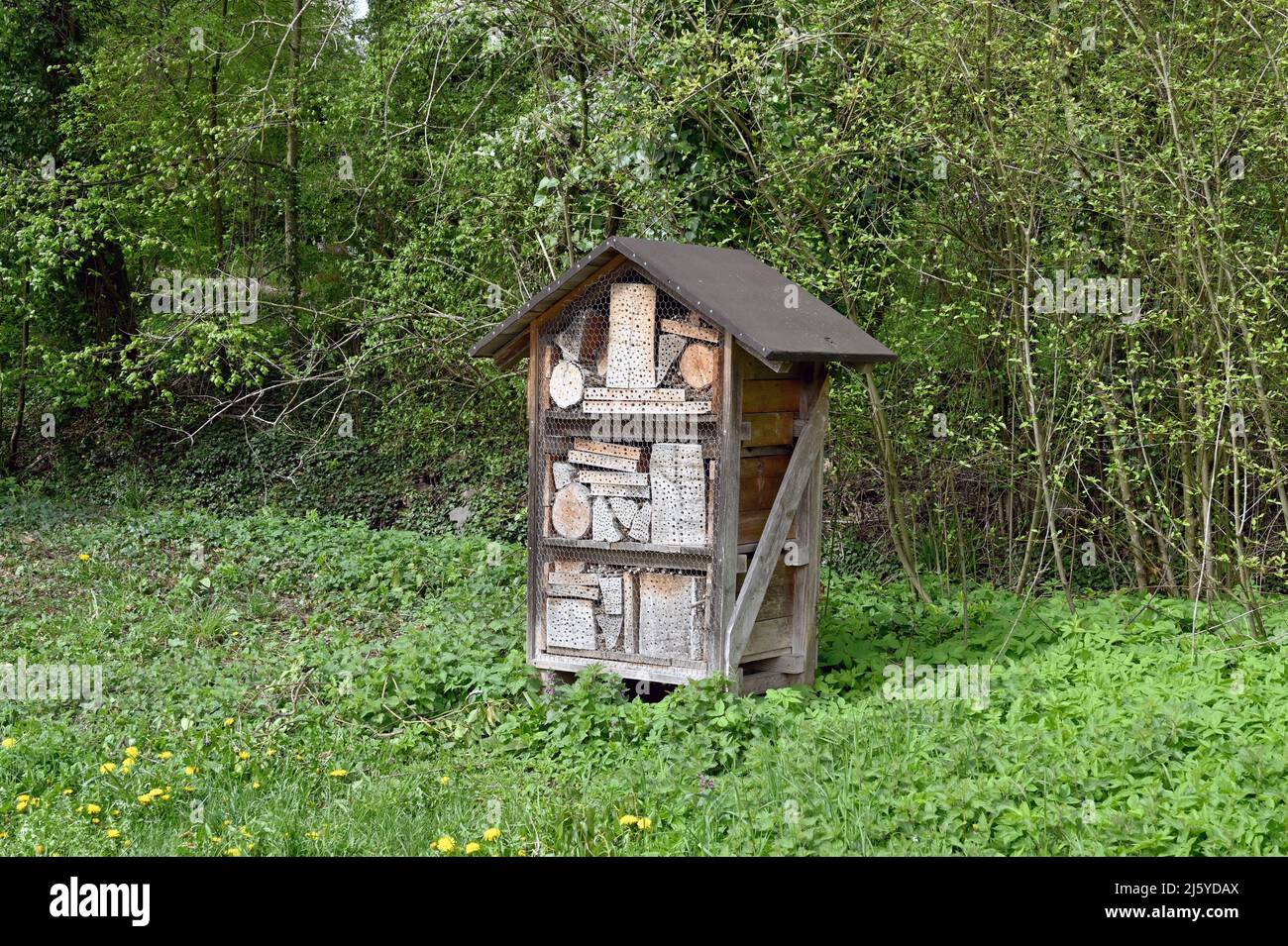 Wooden structure for bees and insects in an outdoor area. No people ...