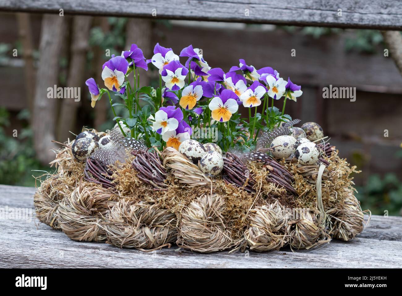purple and orange viola flowers in wreath of moss, branches and straw Stock Photo