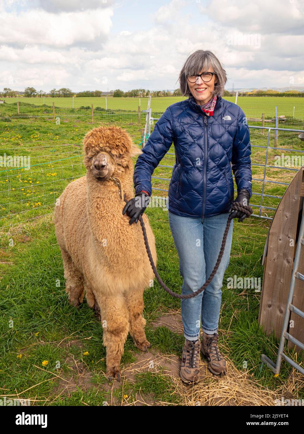 Mature adult 50s 60s hi-res stock photography and images - Alamy