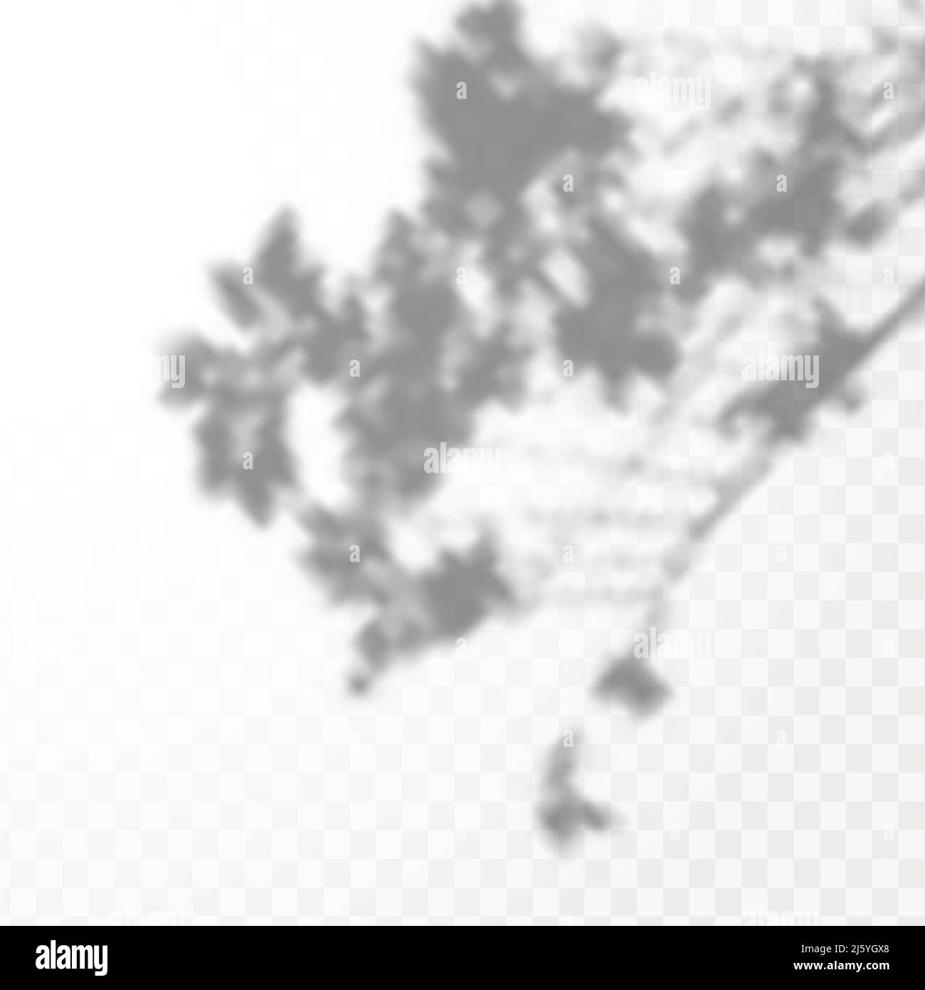 The Effect Of Overlaying Shadows Natural Light Layout Realistic Shadow Of Tropical Leaves Or Branches On Transparent Checkered Background Stock Vector Image Art Alamy