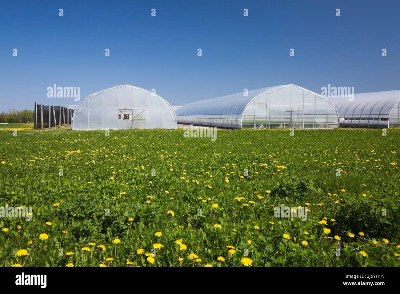 Commercial greenhouses hi-res stock photography and images - Alamy