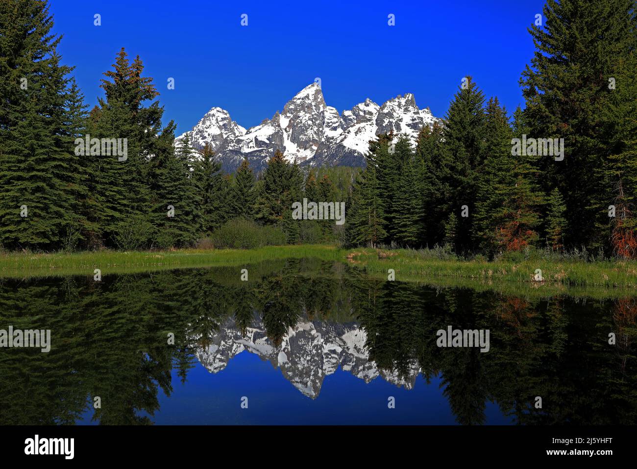 Schwabacher's Landing at Grand Teton National Park is one of the best viewing spots of the Tetons and the best place to put a boat in the Snake River. Stock Photo