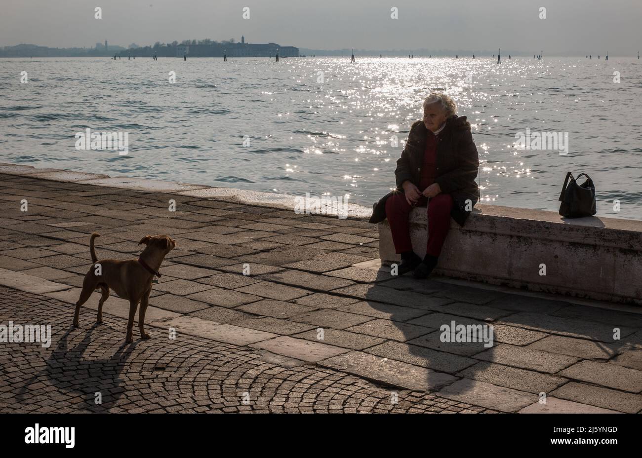 Italien Venedig Canale di San Marco -324 alte Frau und Hund dortselbst  Stock Photo - Alamy