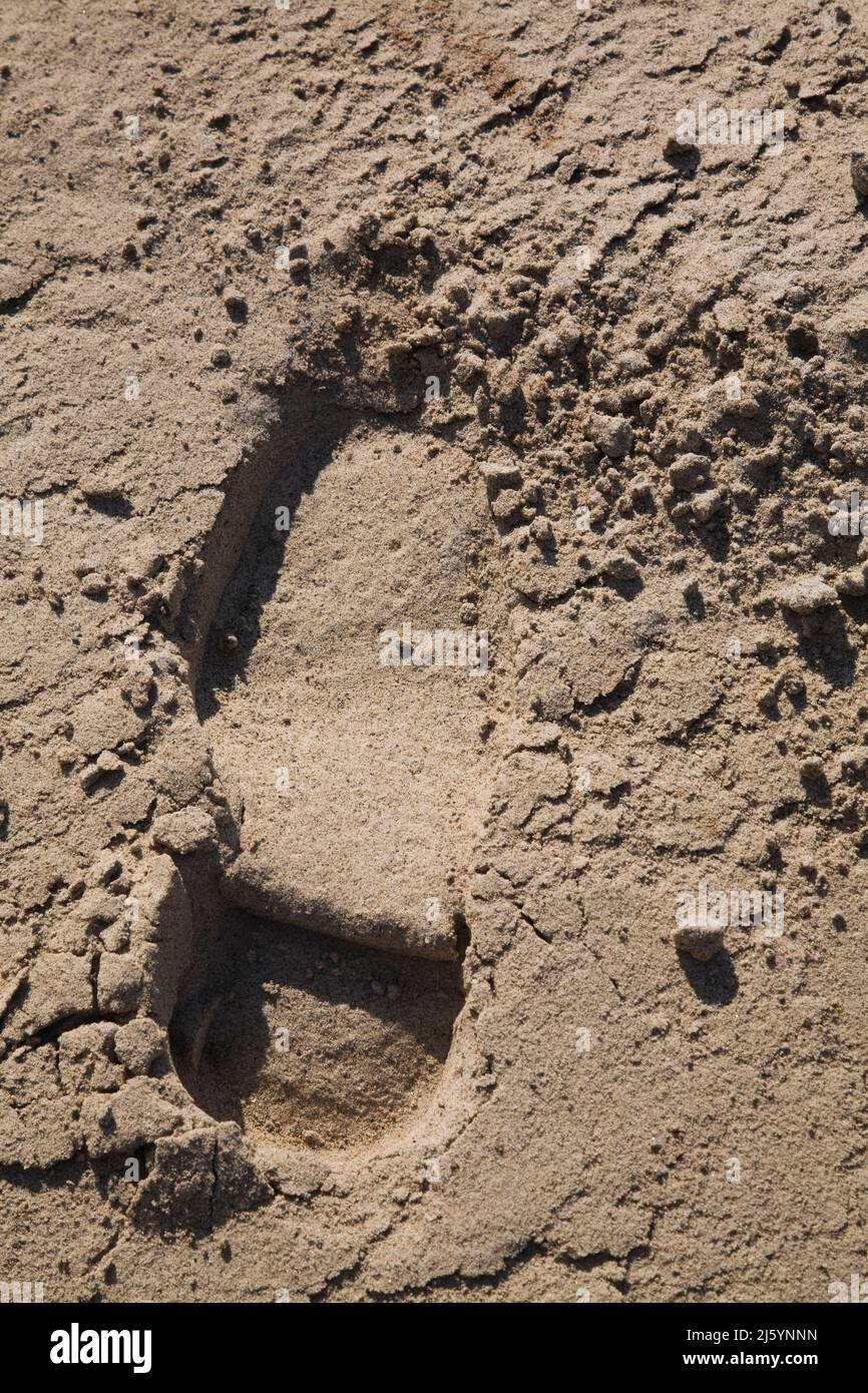 Close-up of a boot print in fine sand at a construction site. Stock Photo