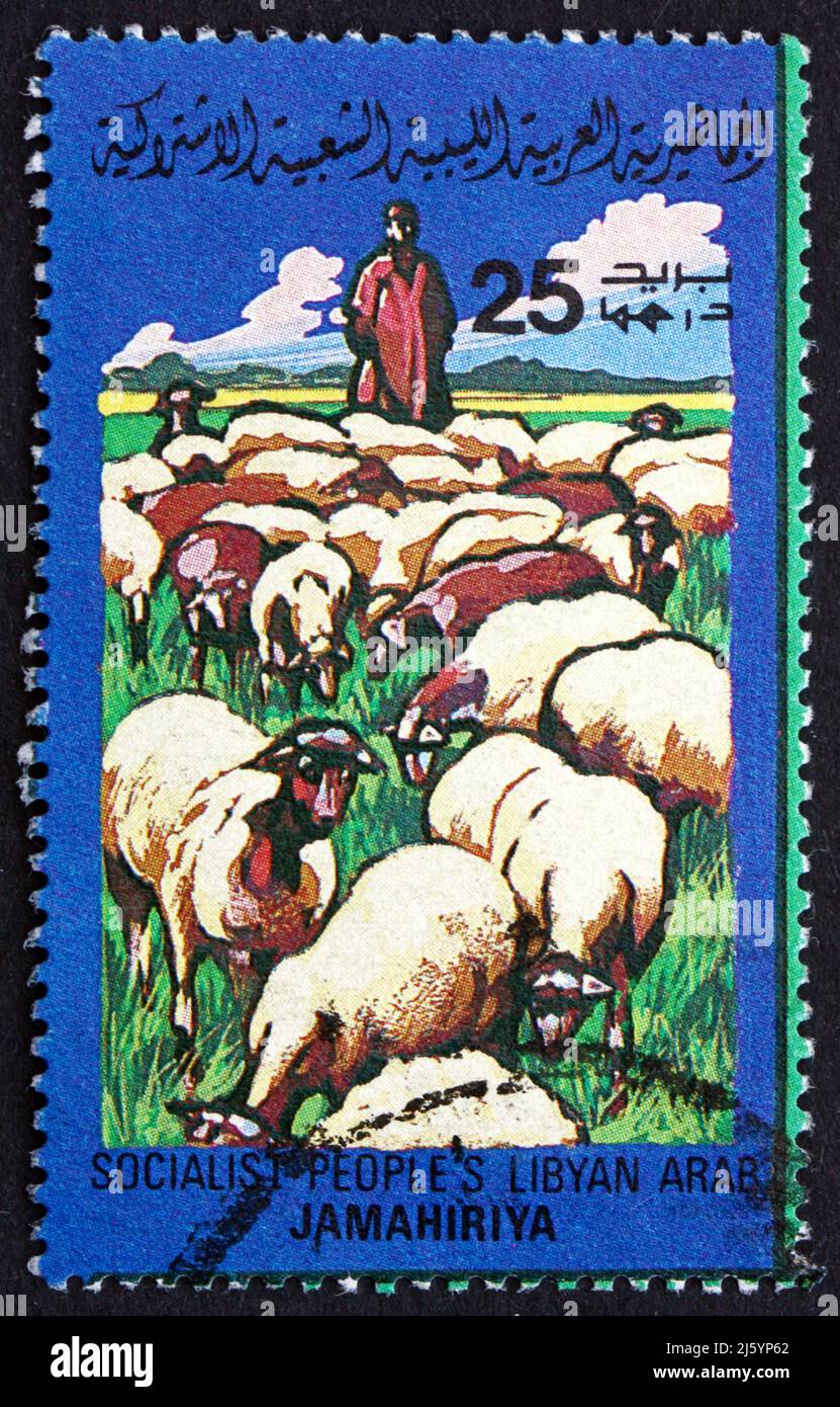 LIBYA - CIRCA 1983: a stamp printed in Libya shows Sheep, Ovis Aries, Farm Animal, circa 1983 Stock Photo