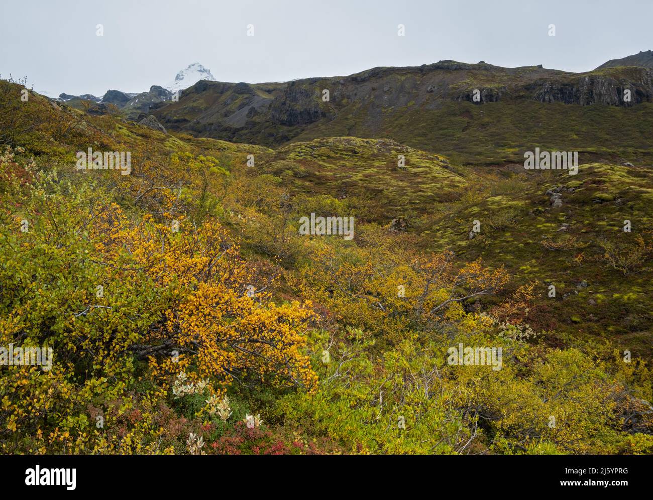 Beautiful autumn view of Mulagljufur Canyon Iceland. Not far from Ring Road and at the south end of Vatnajokull icecap and Oraefajokull volcano. Stock Photo