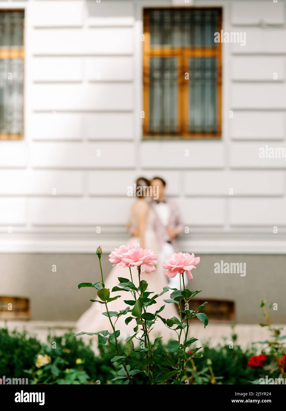 Bride and groom kissing outdoor, roses on foreground. Wedding concept. Young happy married couple. Mr and Mrs Stock Photo