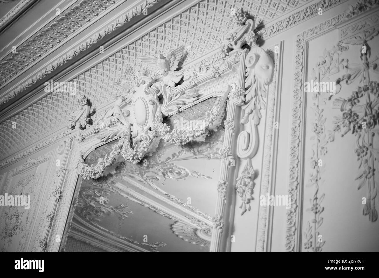 Gallery image with a fresh perspective