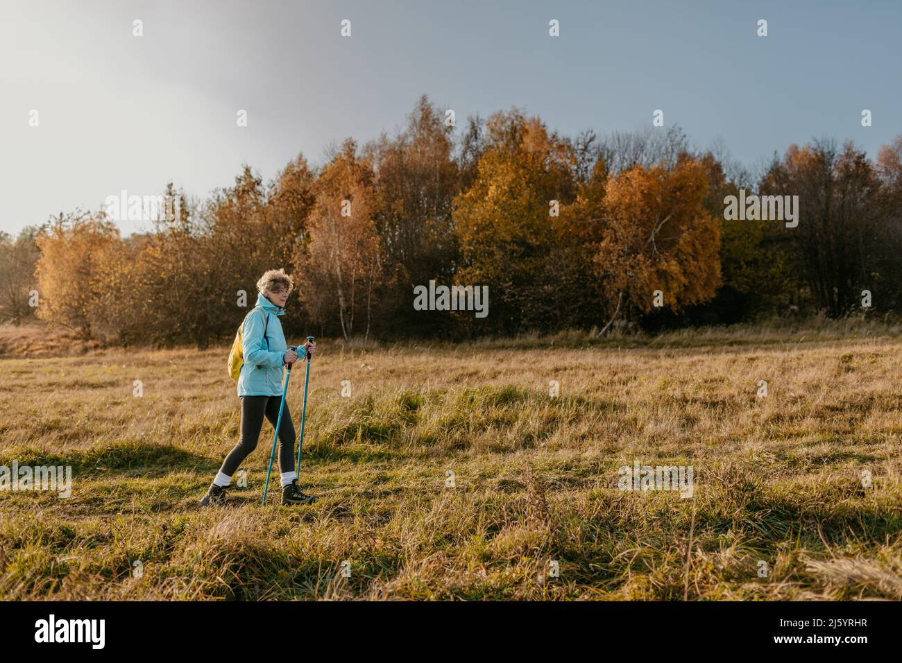 Elderly Woman with Hiking Sticks Walking in Countryside. Full Length Shot of Senior Female Hiker Practicing Nordic Walking on Sunny Autumn Day. Stock Photo