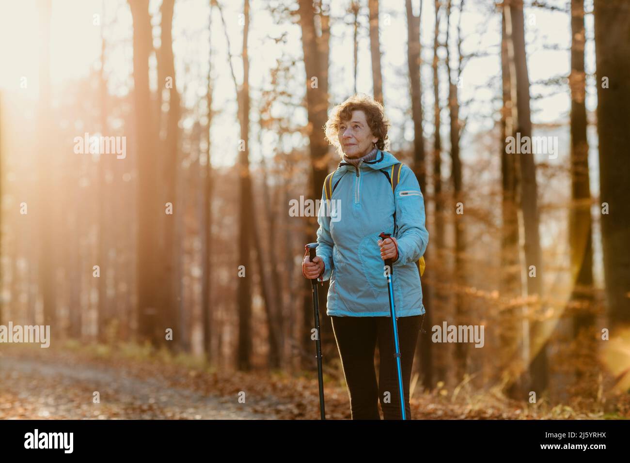 Portrait of Elderly Woman with Trekking Poles in Woods. Medium Full Shot of Senior Female Hiker with Hiking Sticks Taking Break from Walking in Woods. Stock Photo