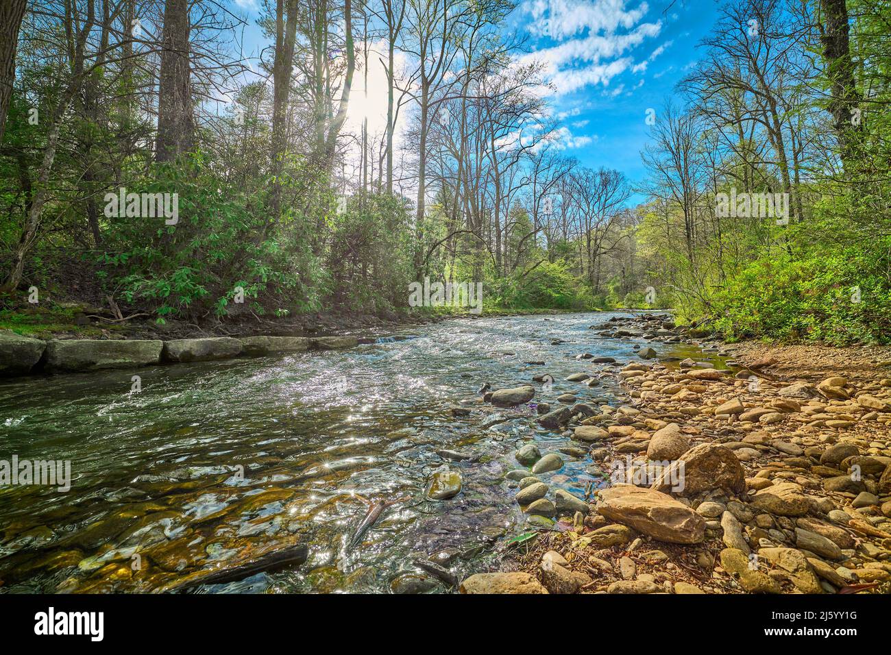 Mills River in Pisgah National Forest North Carolina Stock Photo Alamy