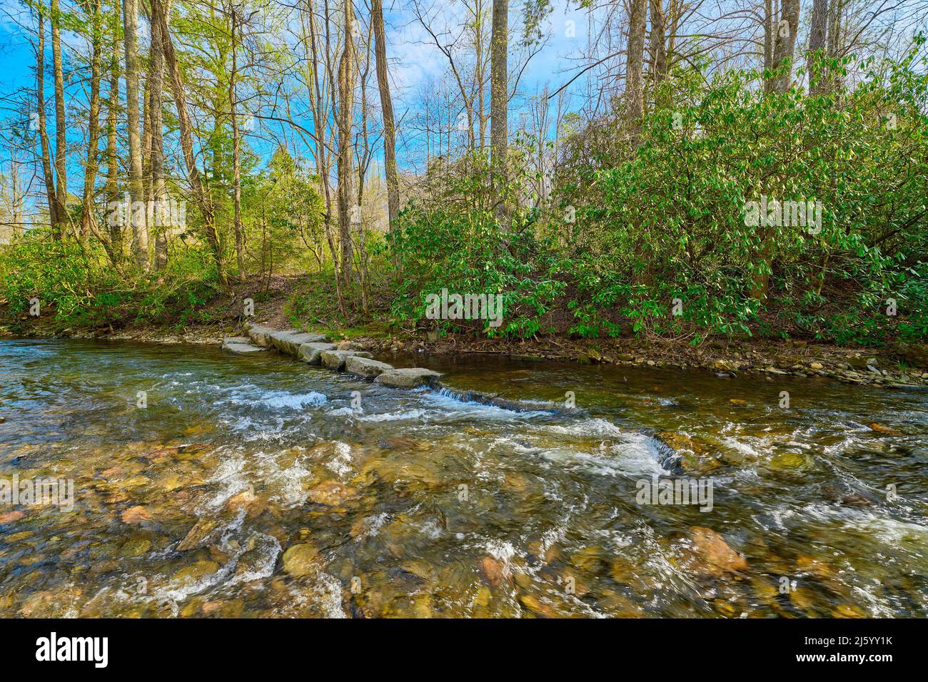 Mills River in Pisgah National Forest North Carolina Stock Photo Alamy