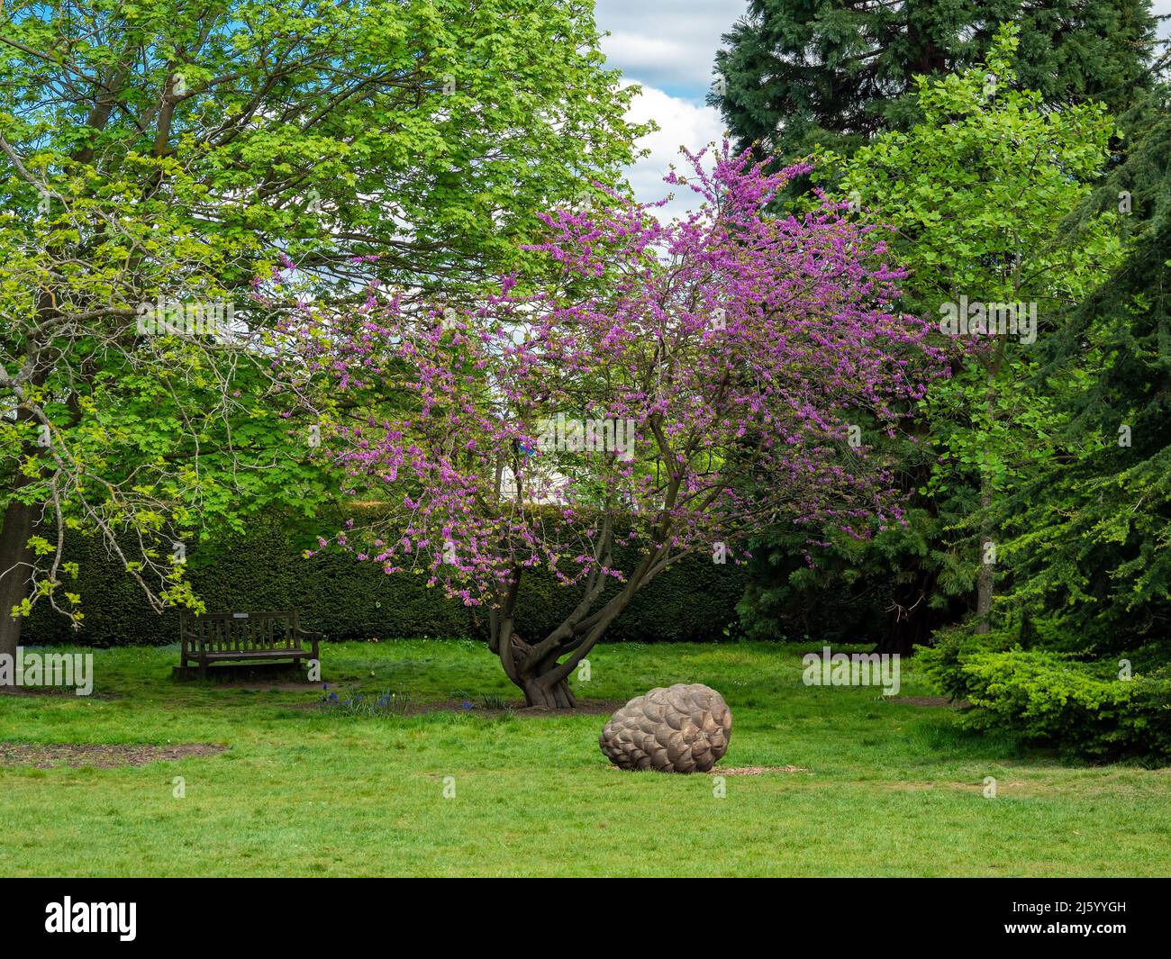 Fresh flowers and vegetation in the spring season in Fulham House and Garden park in London Stock Photo