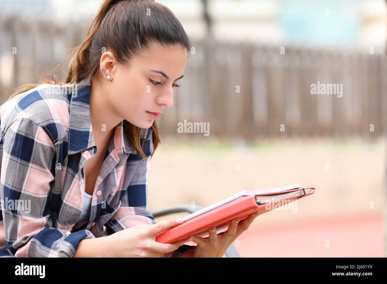Concentrated student studying memorizing notes sitting on a bench in a park Stock Photo