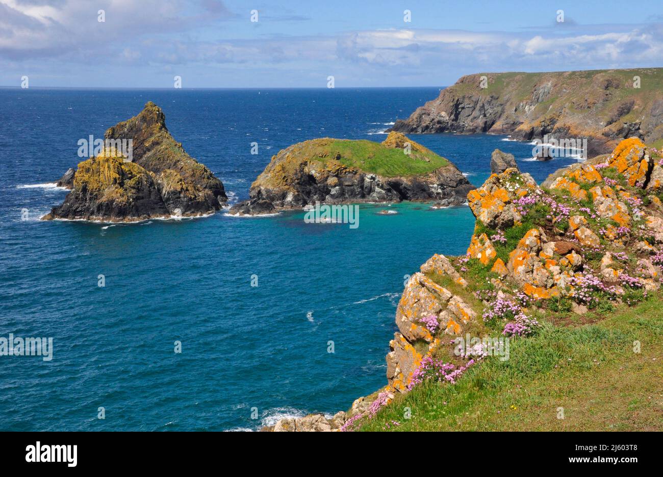 Orange Lichen and pink thrift flowers cove granite rocks above Kynance