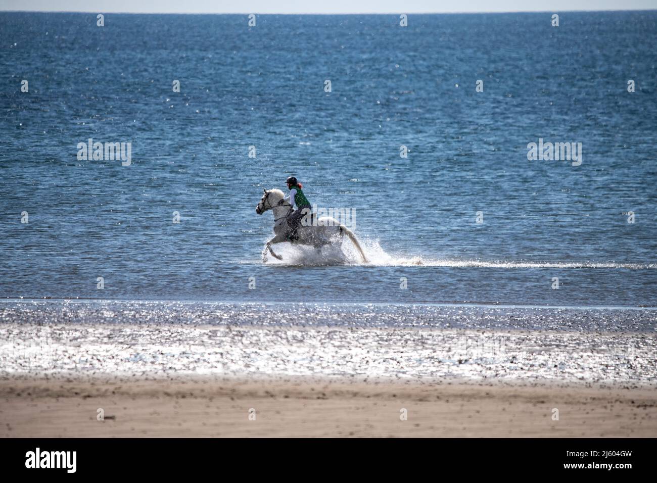Ayr, Scotland, UK. 26th Apr, 2022. PICTURED: West of Scotland saw bright sunshine and blue sky at the seaside on Ayr Beach. People out walking and a horse rider takes their horse through a gallop in the cool sea water. Credit: Colin Fisher/Alamy Live News Stock Photo