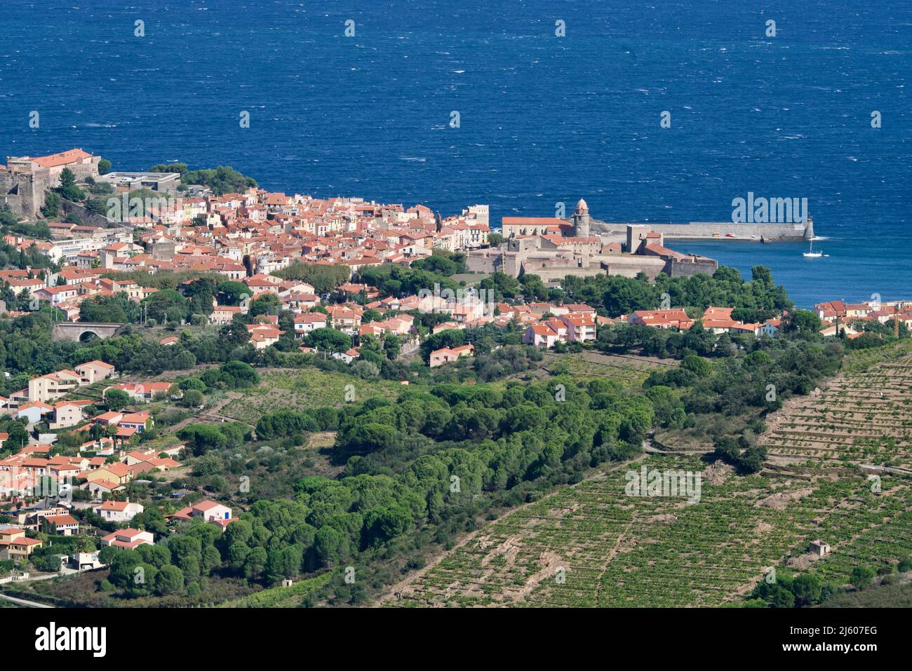 Collioure at the sea and the vineyards Stock Photo