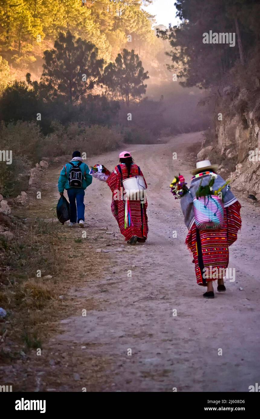 During the celebrations of 'El Señor de la Columna' in the sanctuary of Yosonotú, during which the Mixteco and Triqui groups perform traditional rituals such as 'el pedimento'. Yosonotu, Oaxaca, Mexico. Stock Photo