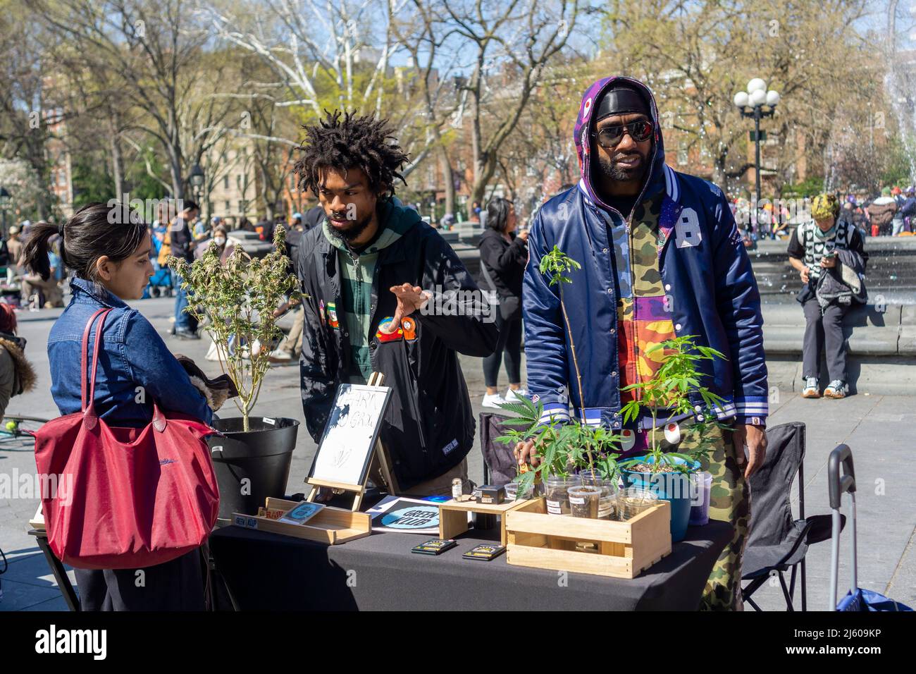 ÒPotrepreneursÓ flock to Washington Square Park in New York on Wednesday, April 20, 2022 to sell their marijuana related wares and to celebrate Ò4/20Ó, the unofficial cannabis holiday. New York legalized marijuana in 2021. (© Richard B. Levine) Stock Photo