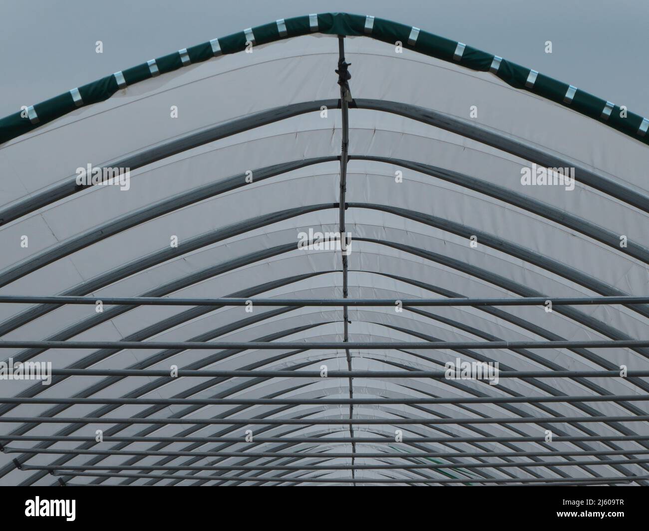 Lines and curves of a greenhouse roof Stock Photo