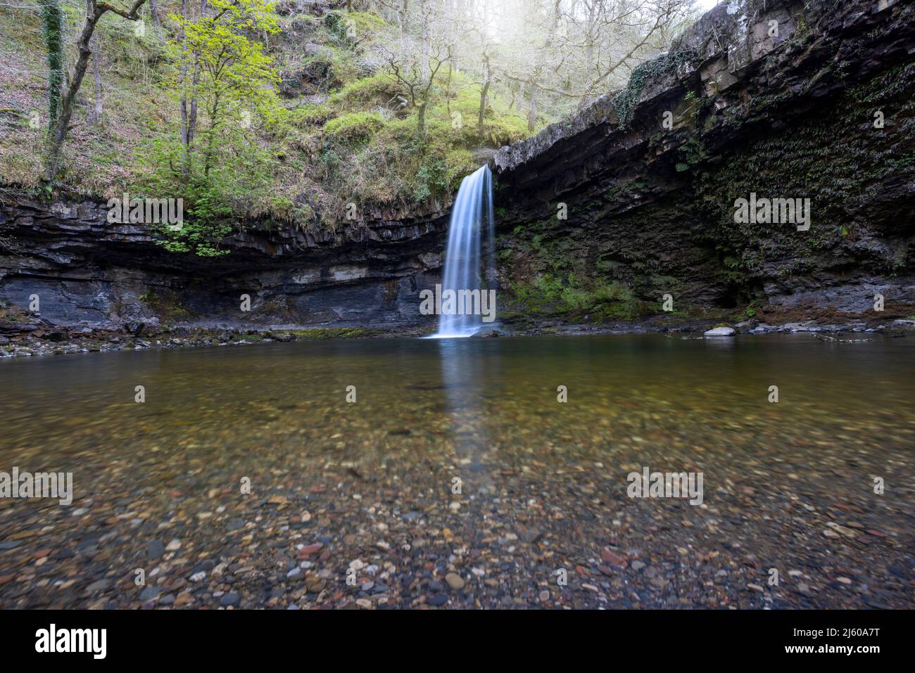 Sqwd Gwaladys or Ladys falls near Pontneddfechan, Brecon Beacons, Wales UK. This is now a popular wild swimming spot. Stock Photo