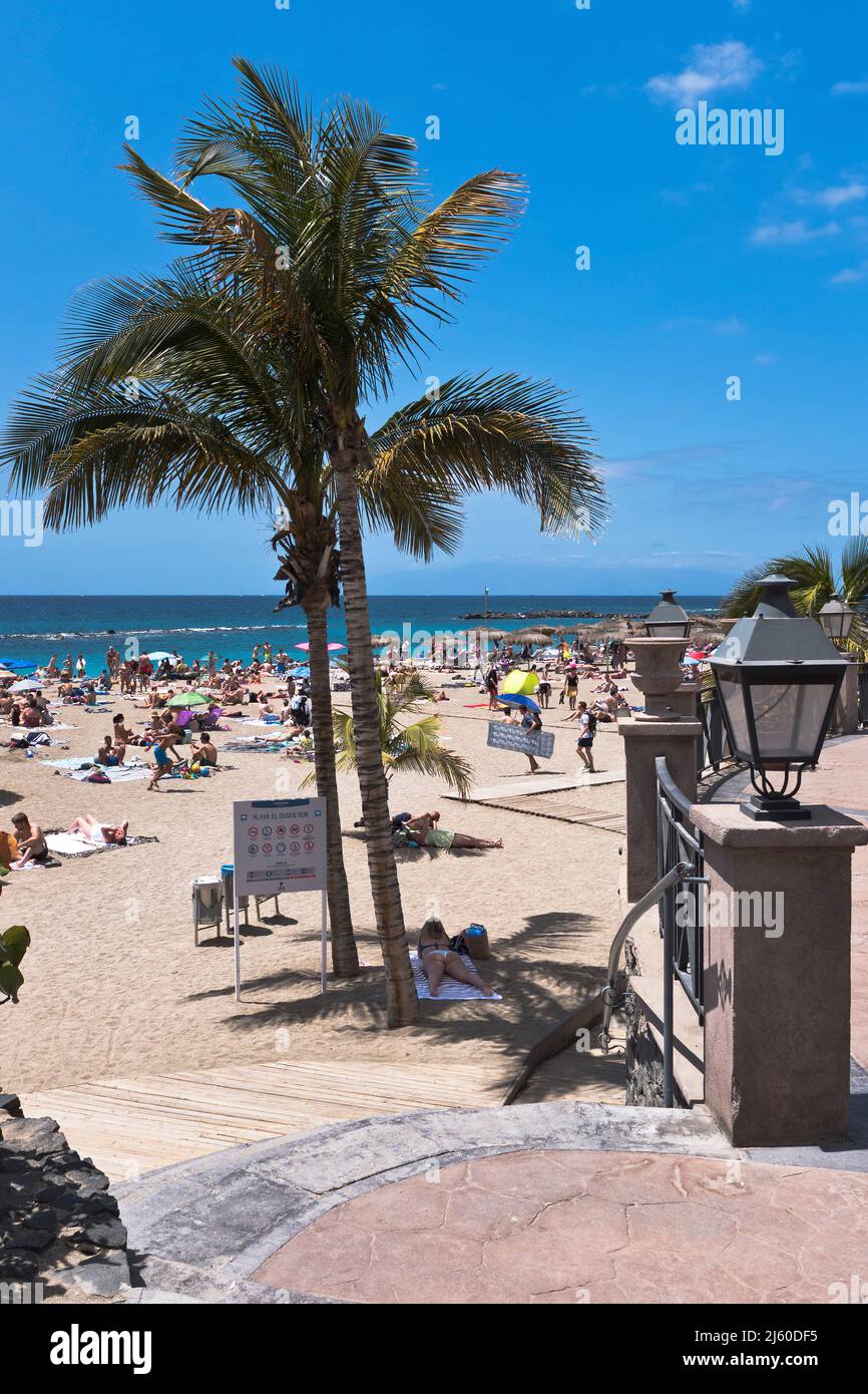 dh Playa del Duque COSTA ADEJE TENERIFE Tourist holiday beach people south coast beaches Stock Photo