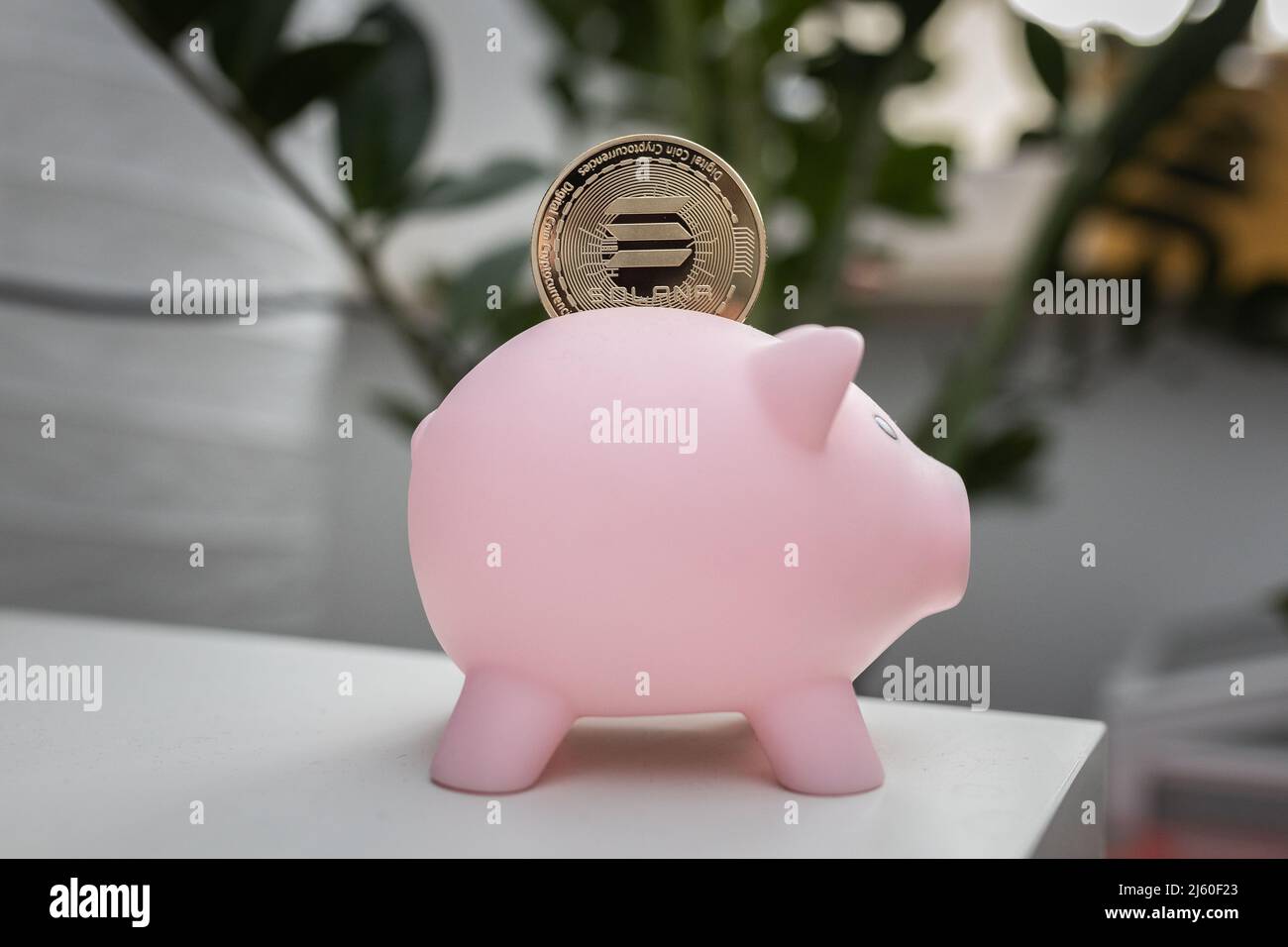 Solana SOL cryptocurrency physical coin in a piggy bank. Stock Photo