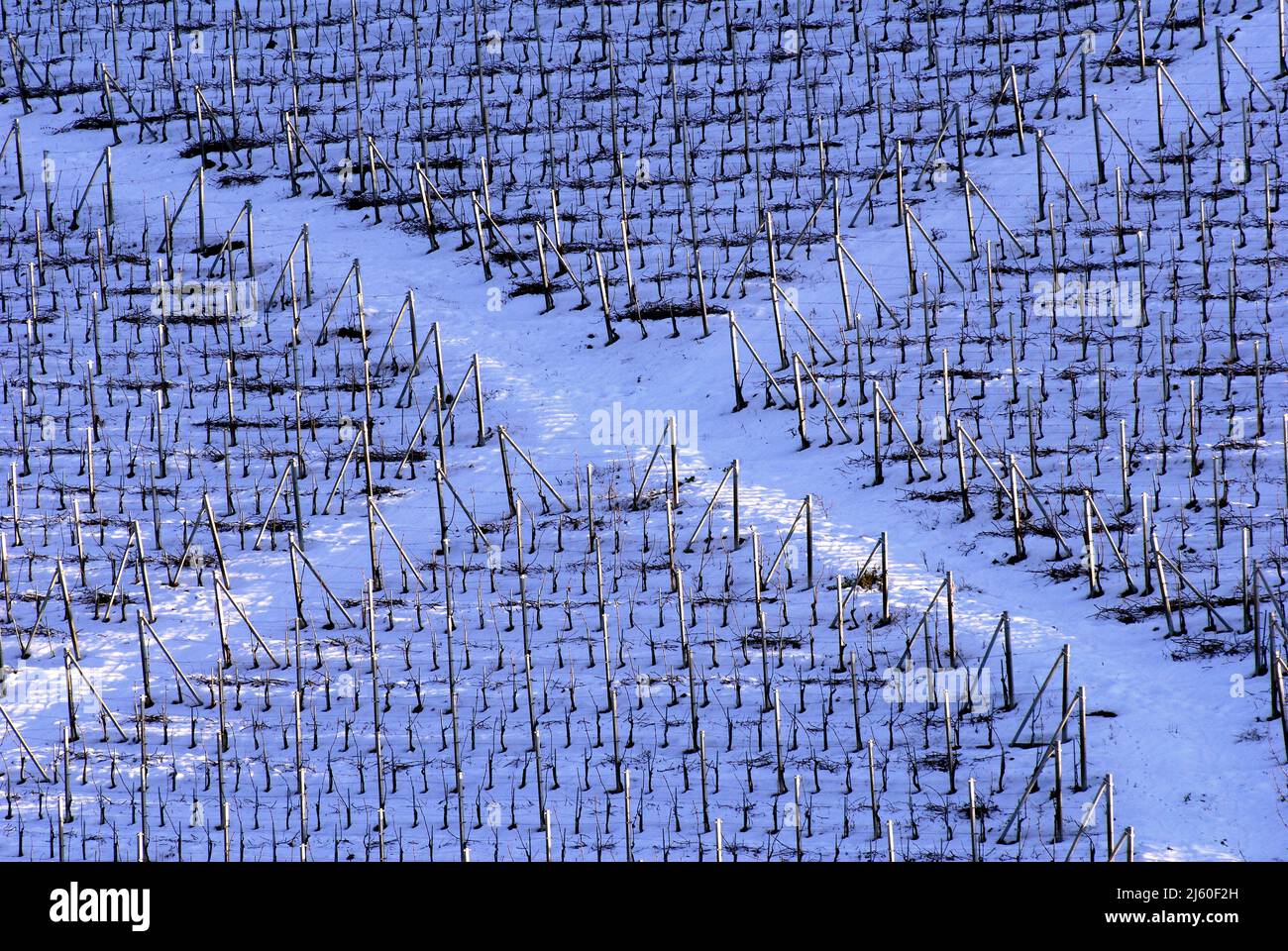 Nice images for general purpose Stock Photo Alamy