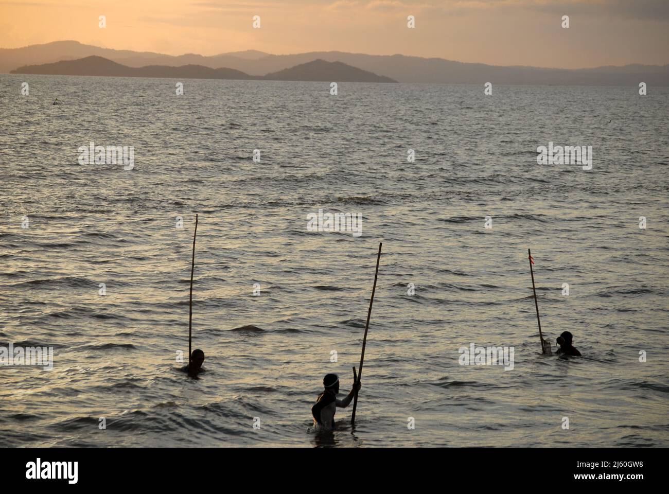 Men with spears fishing shells and scallops on the sea, Valladolid ...