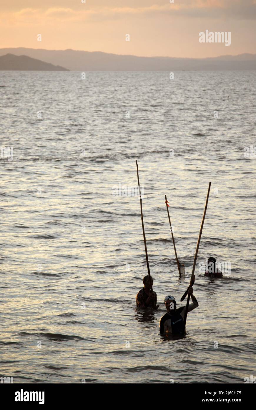 Men with spears fishing shells and scallops on the sea, Valladolid ...