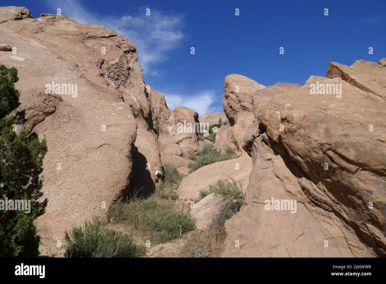 Agua Dulce, California, USA 17th April 2022 A general view of