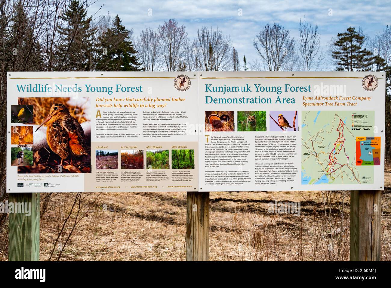 Speculator tree farm hires stock photography and images Alamy