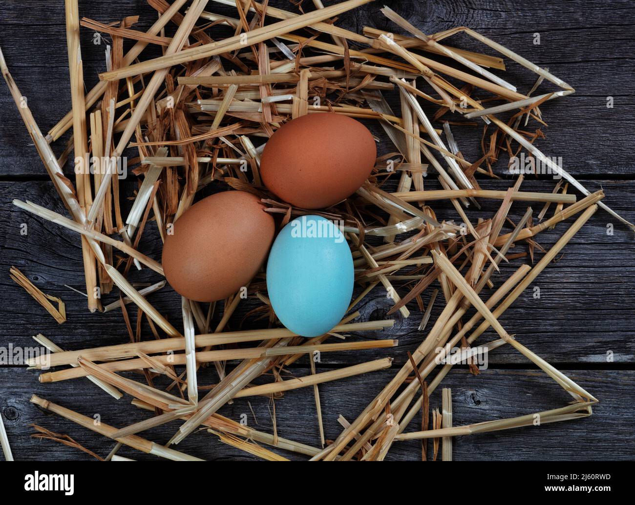 Three chicken eggs lying in straw or hay on rustic barn wood Stock ...