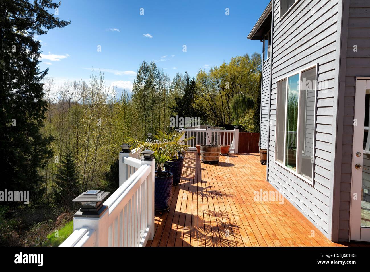 Home outdoor cedar wood backyard deck just freshly stained during early spring season Stock